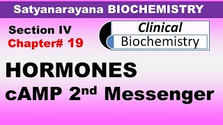 Chp19 Satyanarayana Biochemistry  HORMONES  cAMP Second Messenger System  Dr Asif Lectures [upl. by Procora]