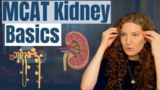 MCAT Biology Kidney Essentials [upl. by Killion]