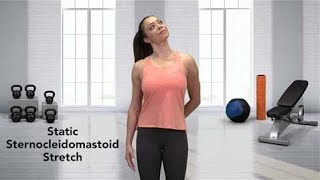 How to do a Sternocleidomastoid Stretch [upl. by Gordon662]