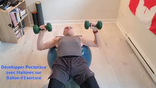 Développé Pectoraux couché sur Ballon dExercice  Chest Press with DB on Stability Ball [upl. by Caasi]