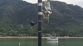 How to land a huge fish solo from a jetty [upl. by Louth]