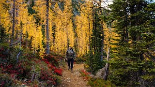 Hiking in the larches of Washington  Autumn hike in the North Cascades [upl. by Pisarik114]