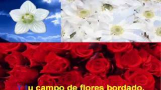 HIMNO NACIONAL DE CHILE TIPO KARAOKE [upl. by Millford]