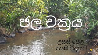 ජල චක්‍රය​  Agricultural Science for Advance Level Examination Sinhala medium [upl. by Evita817]