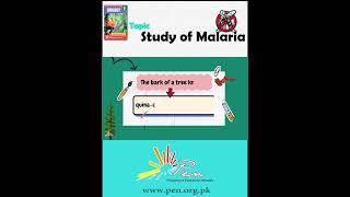 Study of Malaria part 2 biology Malaria study [upl. by Ladnik594]