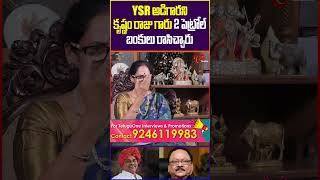 Shyamala Devi Talking About YS Rajasekhara Reddy ysr krishnamrajuwifeshyamaladevi prabhas shorts [upl. by Trumaine]