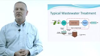 All Things Water Course I Activated Sludge [upl. by Ynohtnakram]