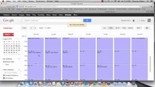 Using Google Calendar for Volunteer Management [upl. by Eremahs]