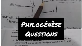 Préparation examen floristiquephylogénèse [upl. by Ivar]