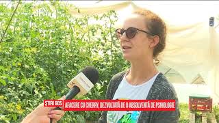 Afacere cu cherry dezvoltată de o absolventă de Psihologie [upl. by Horatius]