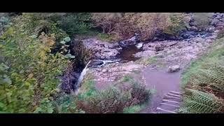 asmr asmrwaterfall waterfall stream [upl. by Ilek935]