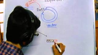 Difference between linker and adaptor DNA [upl. by Ajad]