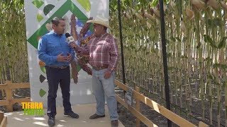 Tierra Fértil Tv Corteva Innovación y Sustentabilidad en la Expo Irapuato 2024 231124 [upl. by Boggs372]