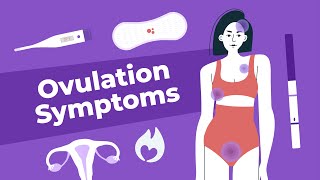 Symptoms of Ovulation  Doctor Explains [upl. by Eckardt]