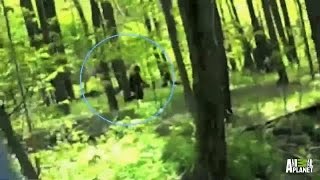 Best of Bigfootage  Finding Bigfoot [upl. by Seaton865]