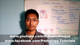 Infective Endocarditis Part 1 HD [upl. by Sana]