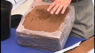 Hydroponics  Coconut Coir [upl. by Beera]