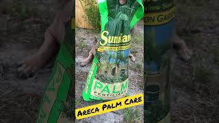 How To Areca Palm Care [upl. by Sarat]