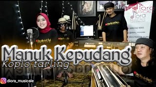 Manuk Kepudang Cover Koplo tarling  Diora Musicale [upl. by Ailb]