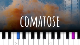 Comatose  Low Hum piano tutorial [upl. by Scarrow155]