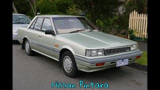 Nissan Pintara [upl. by Persian]