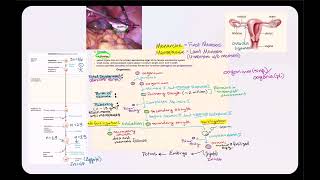 Lecture Video 1 Female Reproductive System [upl. by Skelton]