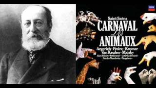 SaintSaëns Le carnaval des animaux  7 Aquarium [upl. by Iey]