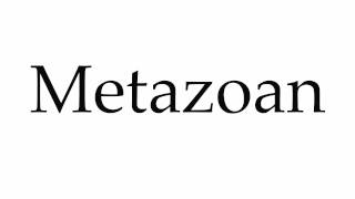 How to Pronounce Metazoan [upl. by Deedee]