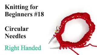 How to Knit in the Round using Circular Needles  Knitting for Beginners 18 [upl. by Ennaillij]