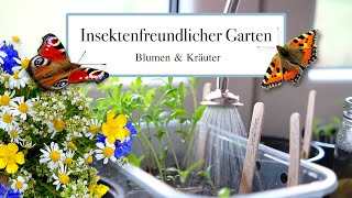 🦋 Insektenfreundlicher Garten  Aussaaten einjähriger Blumen amp Kräuter savethebees 🐝 [upl. by Bacchus915]