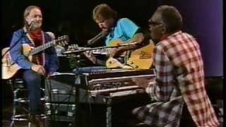 WILLIE NELSON AND RAY CHARLES [upl. by Htiaf]