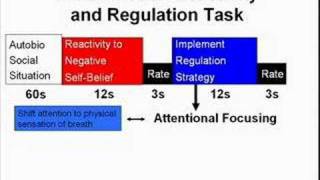 Cognitive Neuroscience of Mindfulness Meditation [upl. by Asir659]