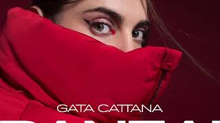 GATA CATTANA  BANZAI [upl. by Edda]