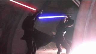 Description of Shien Lightsaber Combat [upl. by Warga]