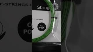 grapplesnake Paradox Pro Tennis String Review shorts [upl. by Naired]