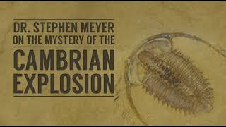 Why Intelligent Design Describes the Cambrian Explosion [upl. by Enyalahs]