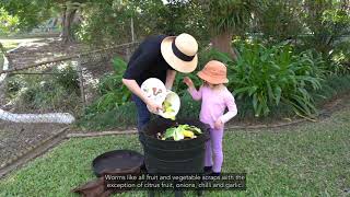 Stepbystep guide to worm farming [upl. by Luella]