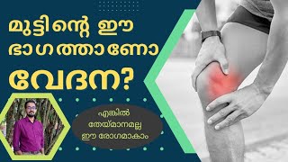 156  കാൽ മുട്ടിന്റെ അകവശത്തെ വേദന  Pes anserine bursitis  Plica syndrome  home remedy  Ayurveda [upl. by Maxima]