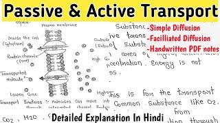 Passive And Active Transport  Simple Diffusion  Facilitated Diffusion  Cell Biology Notes [upl. by Esinert]