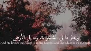 Islamic whatsapp status video Quran recitation status [upl. by Brandes]