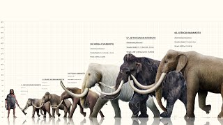 The 11 Different Types Of Mammoths [upl. by Anait175]