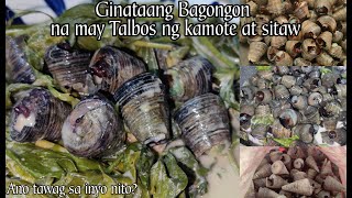 How to Cook Ginataang Bagongon na may talbos ng sitaw at kamote cookingvlog seashell [upl. by Beckett]