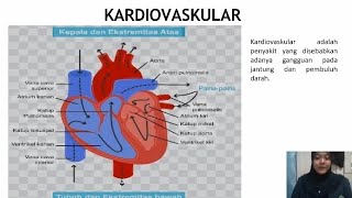 Tugas UAS Anatomi tentang quotKARDIOVASKULARquot [upl. by Urbani]