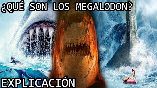 ¿Qué son los Megalodon  La Historia de los Megalodones de The Meg y Meg 2 The Abyss Explicada [upl. by Arymat]