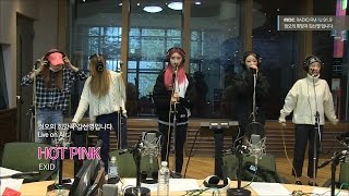 EXID  HOT PINK이엑스아이디  핫핑크 정오의 희망곡 김신영입니다 20151203 [upl. by Elyssa]