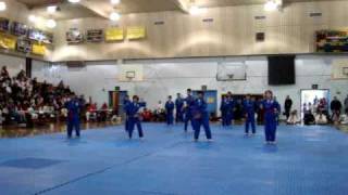 Jun Chong Tae Kwon Do Demo Team  Chul Jin Tournament 2010 [upl. by Okia561]