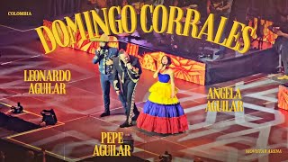 Domingo Corrales  Leonardo Aguilar  Movistar Arena [upl. by Nonna]