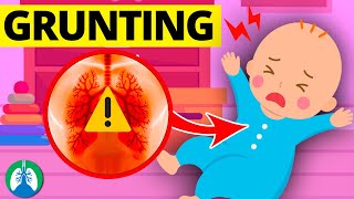 Infant Grunting Respiratory Distress  Medical Overview [upl. by Germain]