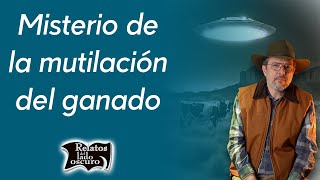 Misterio de la mutilación del ganado  Relatos del lado oscuro [upl. by Zebulen178]