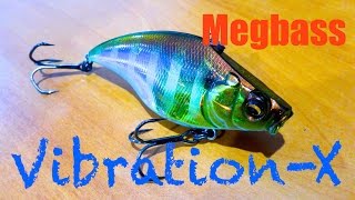 Megabass VibrationX RattleIn Review  Underwater Footage [upl. by Ahsimet]